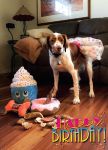 Create Birthday Pet Banner